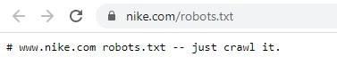 Zawartość pliku robotst.txt dla strony nike.com